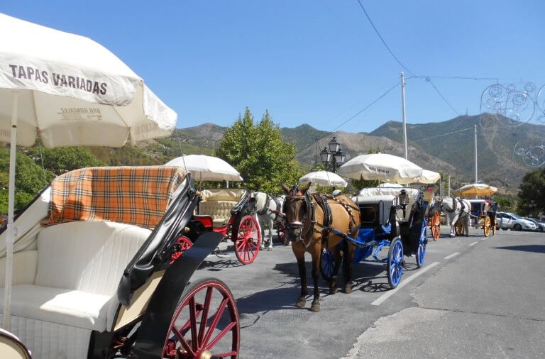 Pferdekutschen in Mijas Pueblo